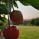 בית נופש Casa Umbria *