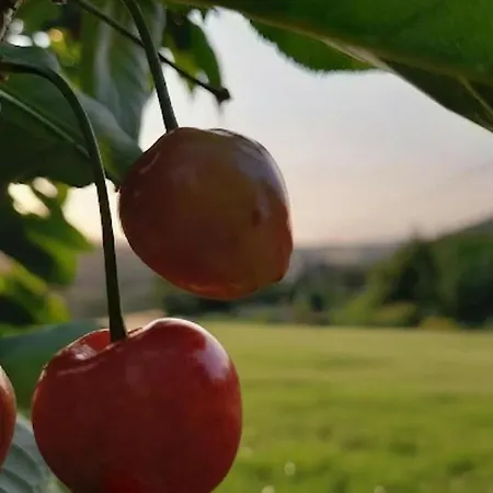 Сasa de vacaciones Casa Umbria *