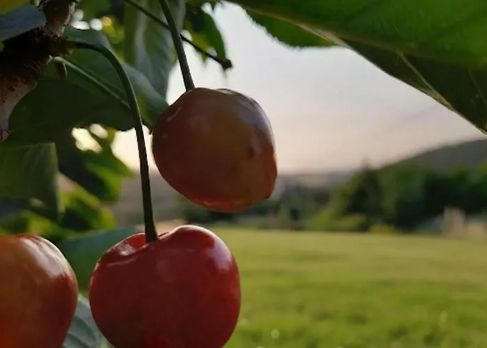 Casa de Férias Casa Umbria *