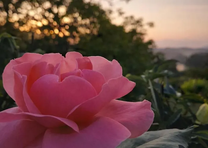 Casa de Férias Casa Umbria